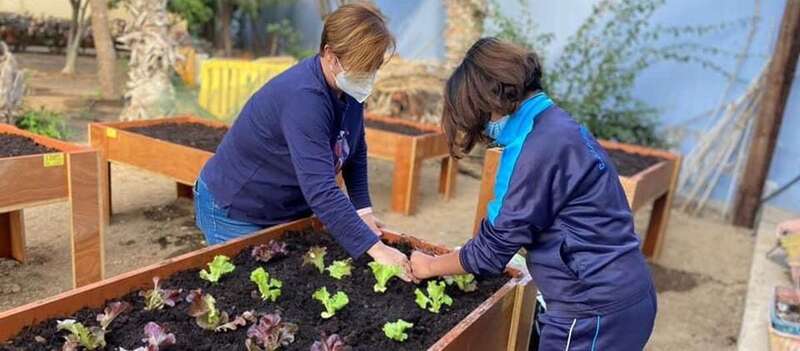 El centro ha aprovechado este curso para implementar mejoras y también embellecer el entorno/TA.